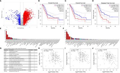 PGE2-EP2/EP4 signaling elicits mesoCAR T cell immunosuppression in pancreatic cancer